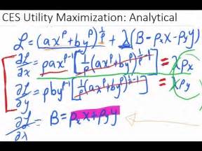 The Lagrangian for the utility maximization problem can be written as. . Ces utility maximization